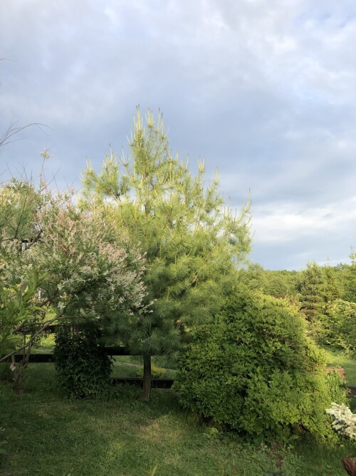 AD276B40-040D-4D30-8219-9B669540C82688d25f19ea72ebf3.jpg
