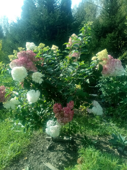 IMG 20230901 154053