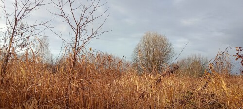 IMG 20231108 140903
