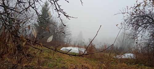 IMG 20231109 093735