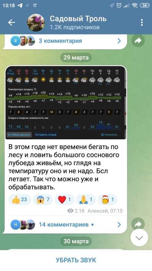 Screenshot 2024 03 30 13 18 29 993 org.telegram.messenger