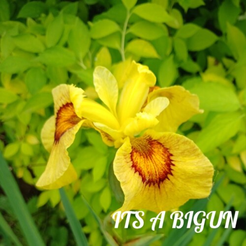 OtJmD4qv1UIc77f9cc1b8006637.jpg