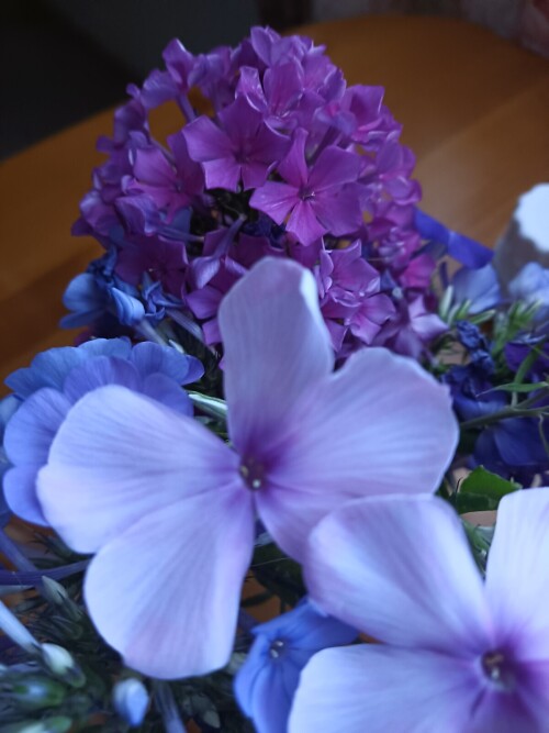 IMG 20240716 100031 464