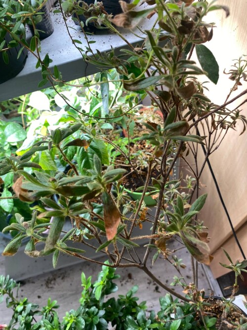 photo 2024 08 29 15 48 46