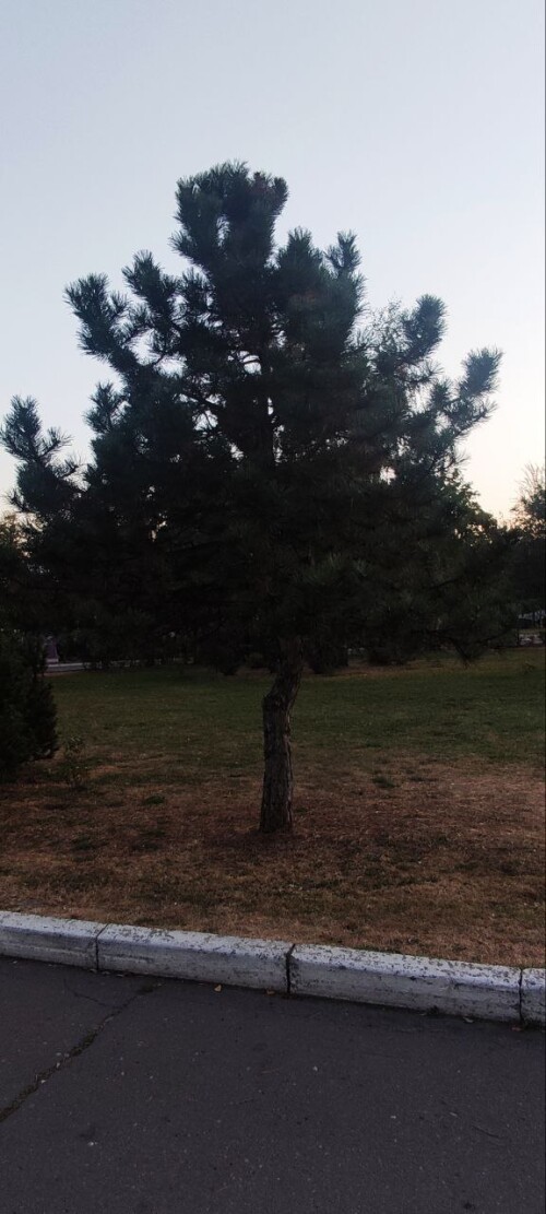 photo 4 2024 09 25 22 16 29