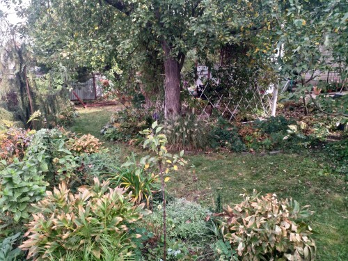 IMG 20241006 124411