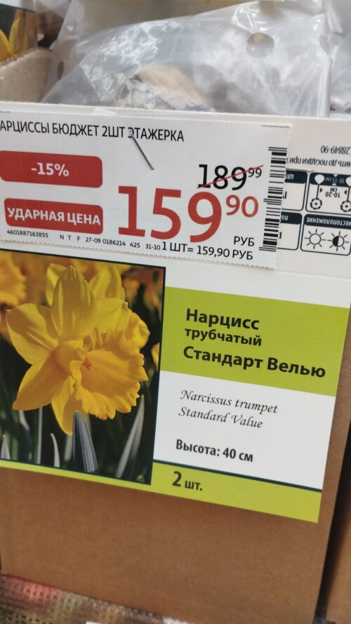 IMG 20241010 WA0011