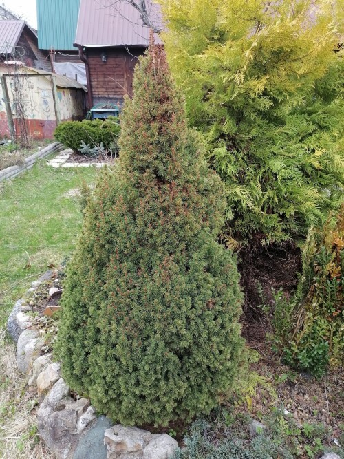 IMG 20240422 172737