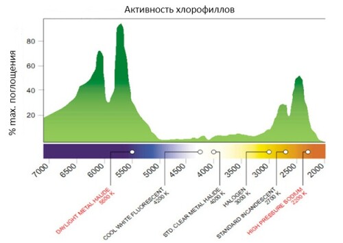 рисоночек(1)