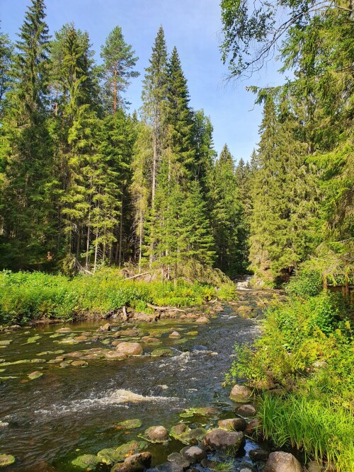 IKALANIOKIe63c35b0c644727a.jpg