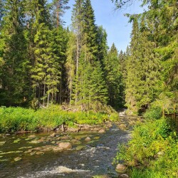 IKALANIOKIe63c35b0c644727a
