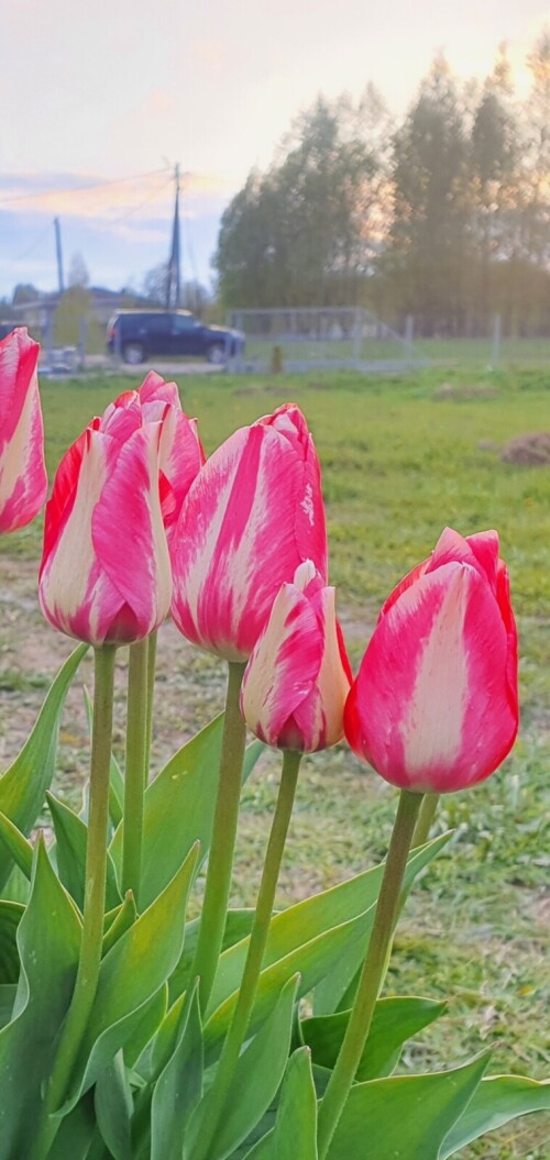 Screenshot 20241206 233608 Gallery