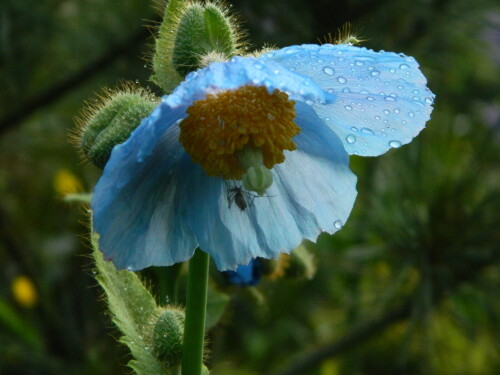 DSCN5041