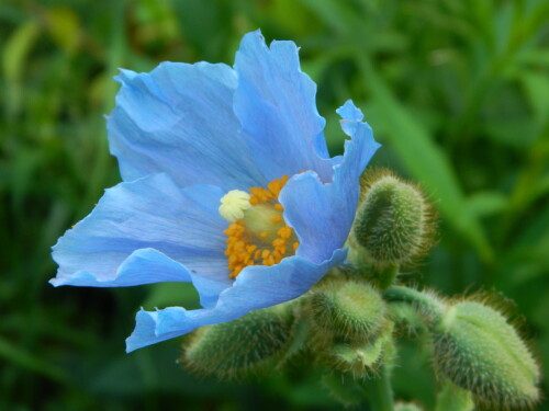 DSCN5672