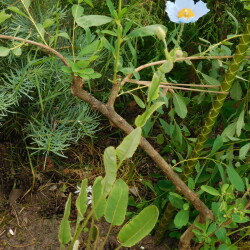 DSCN9337-V-GORSKE7d885706709082cc