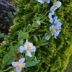 DSCN002241515bee14a90f4d