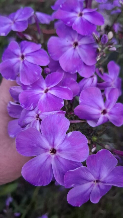 IMG 20250106 222701 498