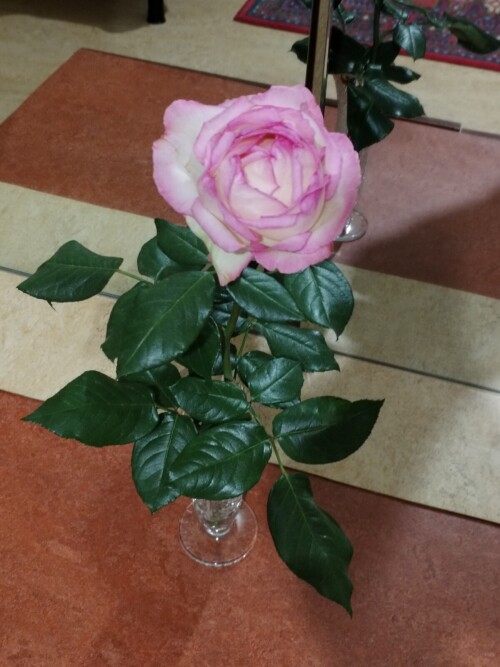 IMG 20241005 001243