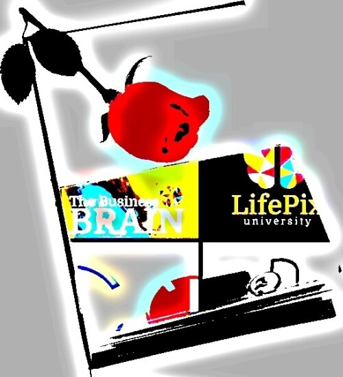 The-business-brain-podcast-by-ST-Rappaport-of-LifePix-University-business-guest-Richard-Blank58826a851627a5a9.jpg