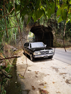 El-tunel-en-la-carretera-a-Turrialba-COSTA-RICA.-300D-LIMOUSINE-W123aa09f331ecdbbed1.jpg