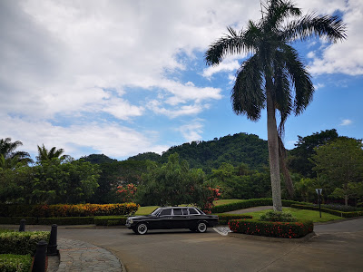 LARGE-PALM-TREE-AND-MERCEDES-LIMOUSINE-COSTA-RICA353dbf059f475295.jpg