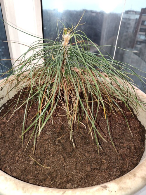 photo 1 2025 01 30 13 00 38