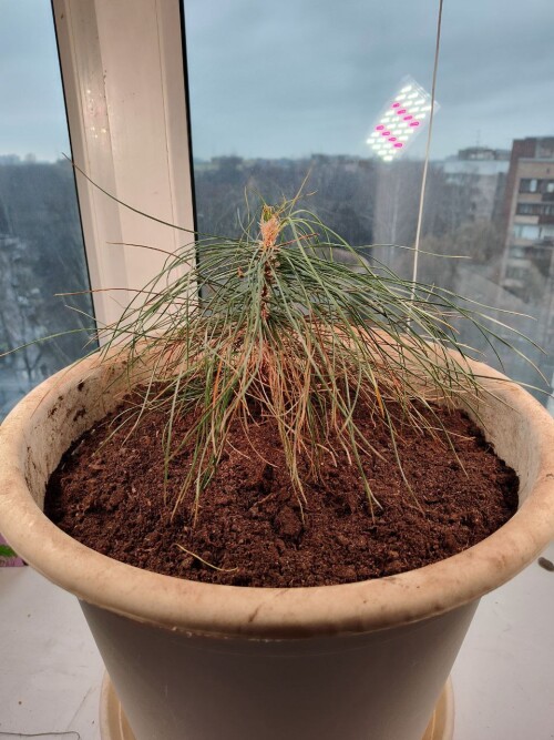 photo 2 2025 01 30 13 00 38