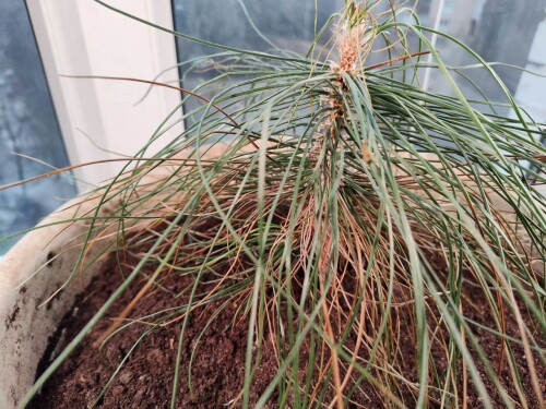 photo 3 2025 01 30 13 00 38