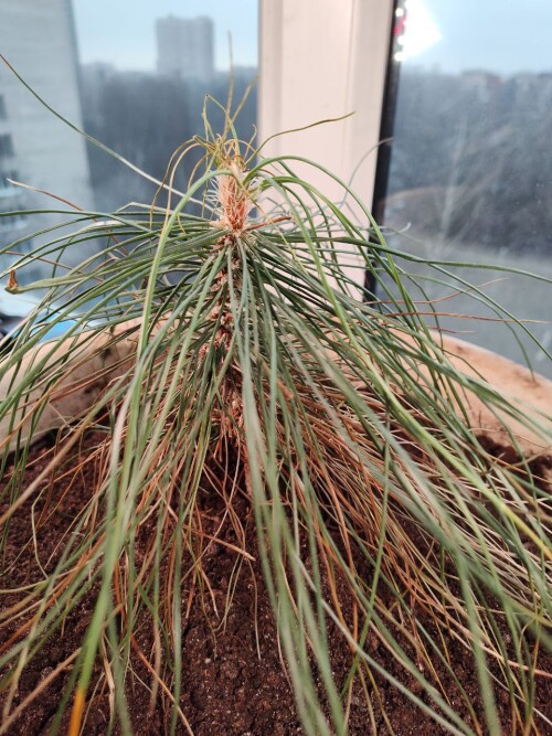 photo 4 2025 01 30 13 00 38