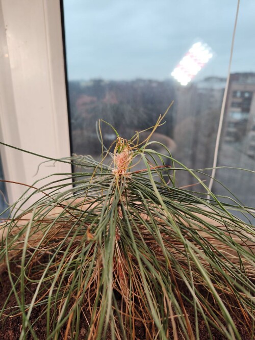 photo 5 2025 01 30 13 00 38
