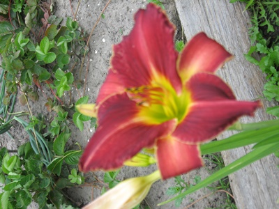 4-S18251ec31eea74f2.jpg