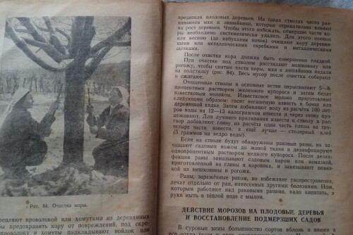 page-garden-bookb909ad7d21683336.jpg