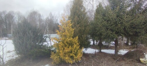 IMG 20250319 WA0018