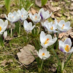 IMG_80312fe54c0c0c71623c