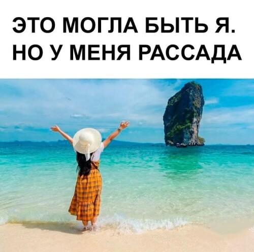 200210849f6349bda6d80cdc.jpg