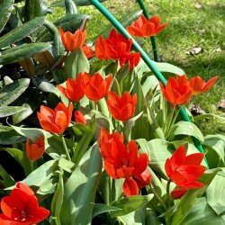 IMG_82177f759c8fc31ad1a1