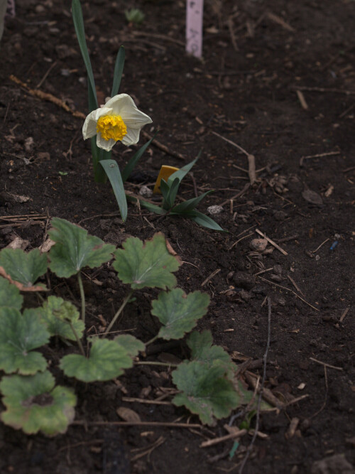 P5029305d74bd02db23bb925.jpg