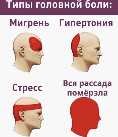 495484357_18037043531554510_8733646194940325438_n9a6a762f80ea0a20.jpg