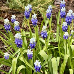 IMG_8313fae22ebc96232940