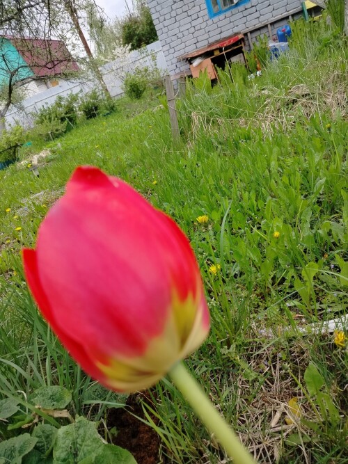 1000011181ab11f6036b99f054.jpg