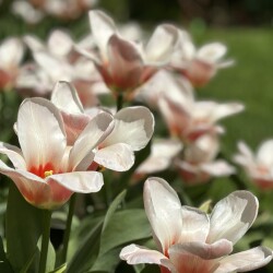IMG_8343d384ea647cfab4f0