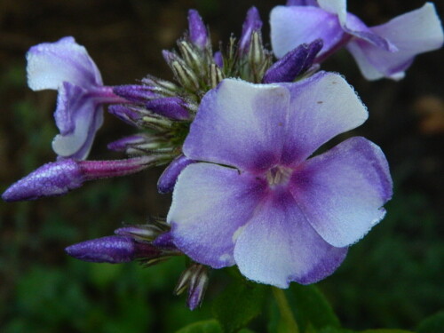 DSCN593980de02e7c949d099.jpg