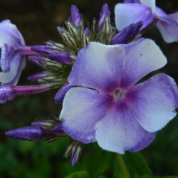 DSCN593980de02e7c949d099