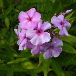 DSCN7990da5749fcf21fb9c6