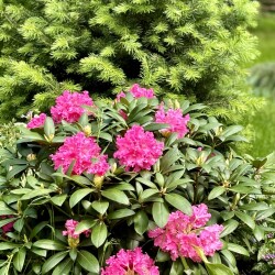 IMG_8669a1eed25ea07abc73