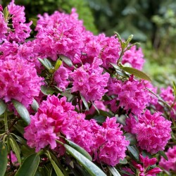 IMG_8677c6116c752603fb8f