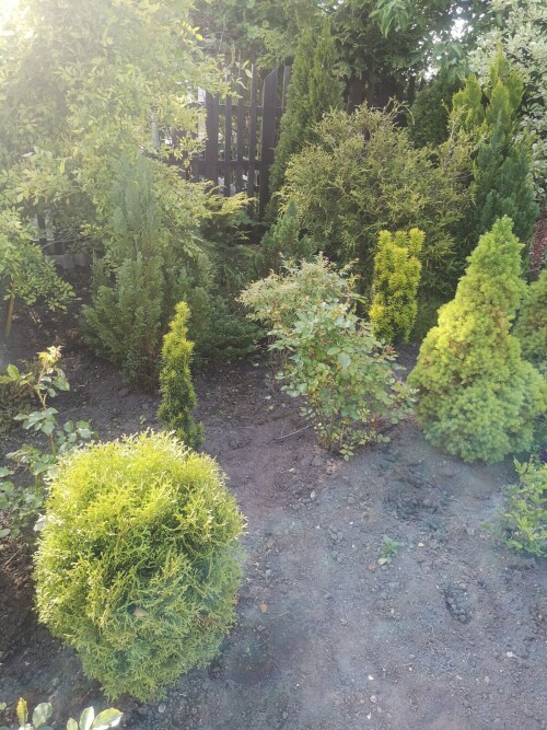 IMG 20250614 175626