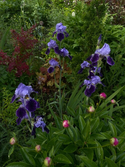 IMG-20250614-WA00087fbd21adcd6027fd.jpg