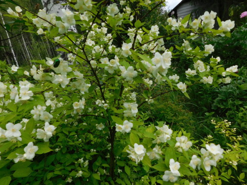 DSCN998550d86828c5264507.jpg