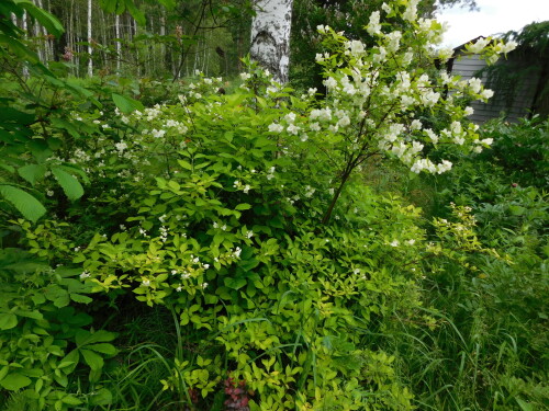 DSCN9987c7780e4a41609bfa.jpg